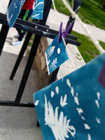 Atelier découverte du cyanotype